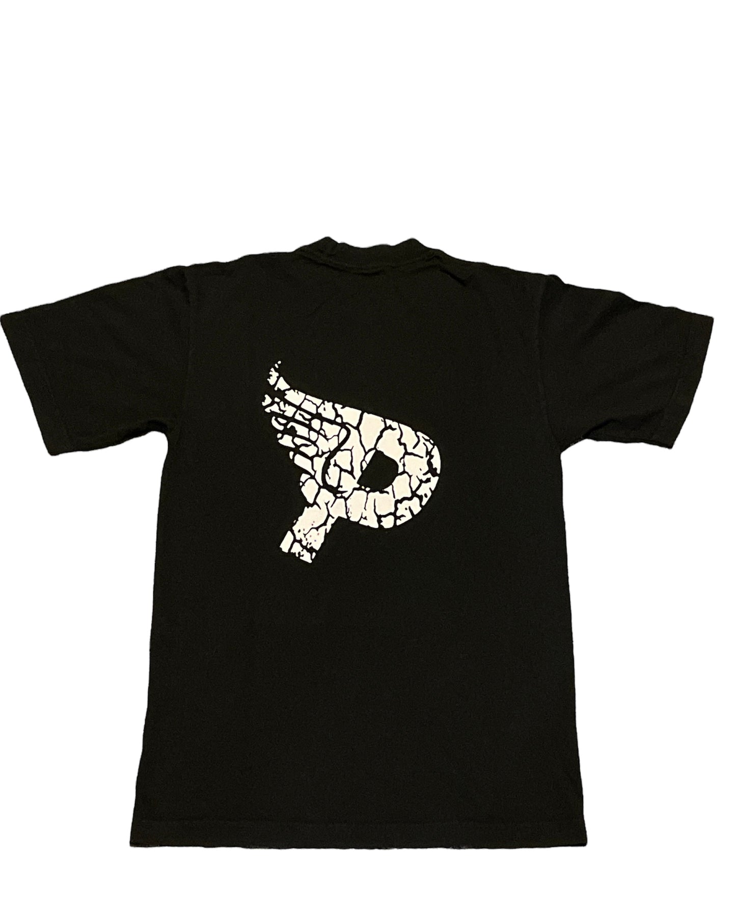 BEAUTY IS PAIN FASHION HURTS T SHIRT